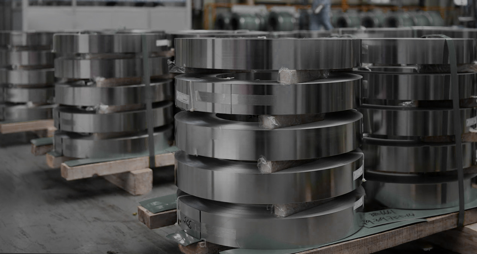 Stainless Steel Strips